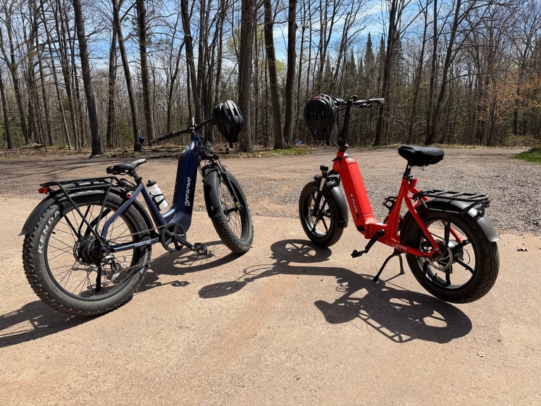 Two electric bikes parked on a wooded trail, one blue and one red, on a sandy path surrounded by bare trees